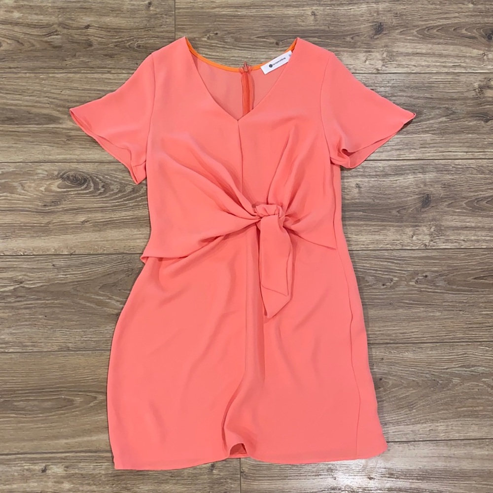 The Impeccable Pig size large peach shift dress